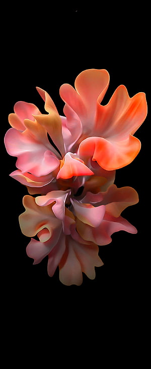 Abstract 3D Digital Flower with Soft Peach and Coral Petals on Black Background HD phone wallpaper