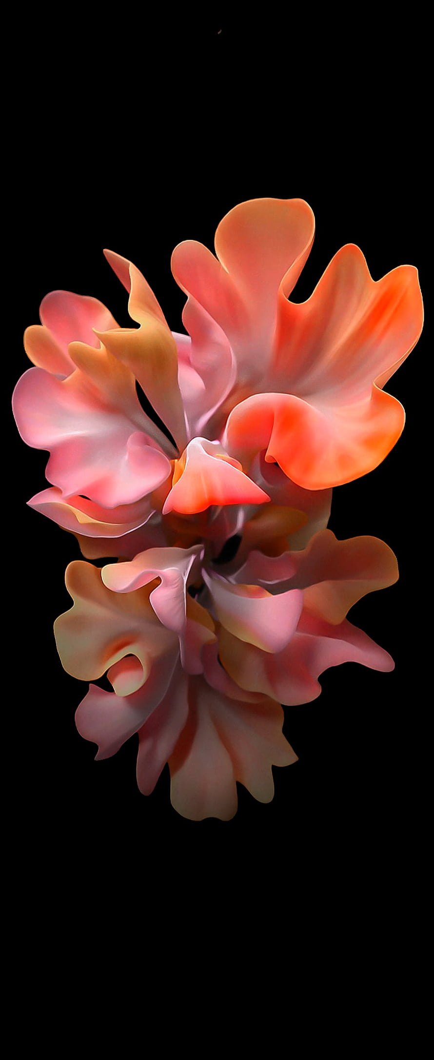 Abstract 3D Digital Flower with Soft Peach and Coral Petals on Black Background HD phone wallpaper