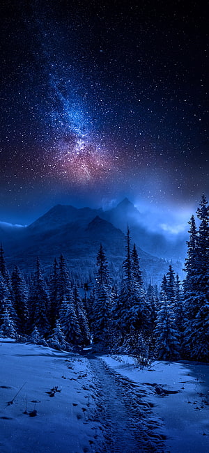 Milky Way Galaxy Over Snow-Covered Pine Forest and Mountain Peaks at Night HD phone wallpaper