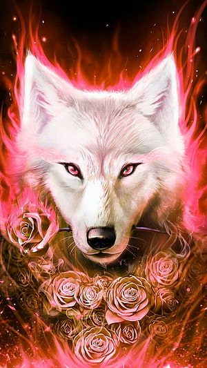 Mystical White Wolf with Glowing Red Eyes and Roses in Fiery Pink Aura HD phone wallpaper