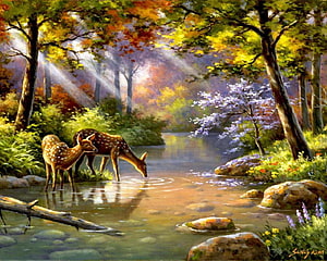 Sung Kim Wildlife Painting: Spotted Deer Drinking From a Forest Stream in Autumn HD wallpaper