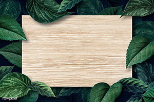 Natural Wooden Board Surrounded by Fresh Green Leaves on Dark Background HD wallpaper