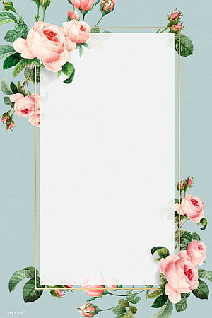 Elegant Pink Rose Floral Border with Gold Frame on Blue Background HD phone wallpaper