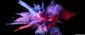 Vibrant Multicolored Powder Explosion on Black Background HD wallpaper