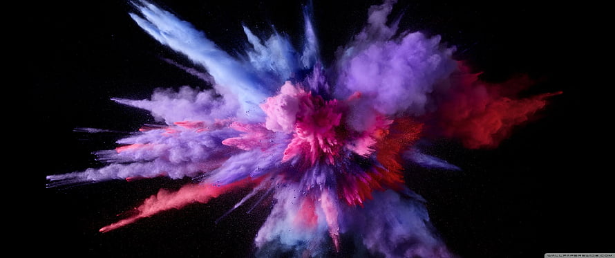 Vibrant Multicolored Powder Explosion on Black Background HD wallpaper