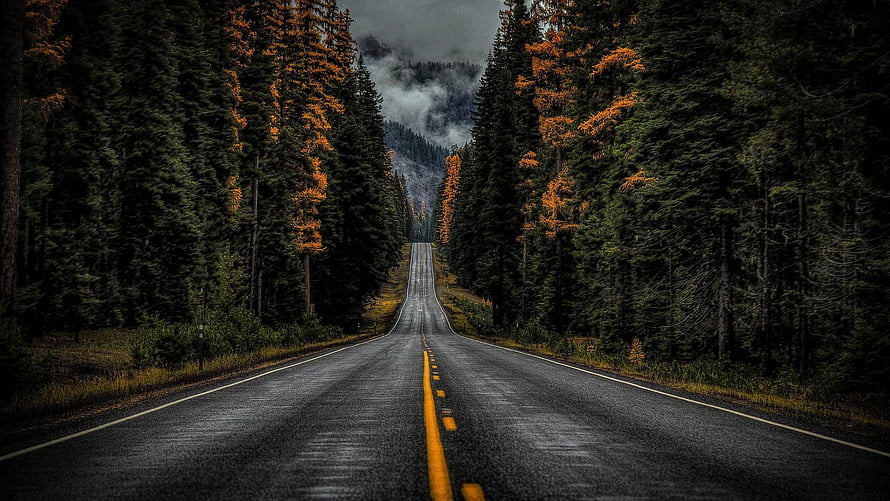 Moody Two-Lane Highway Cutting Through Dense Evergreen Forest Under Overcast Skies HD wallpaper