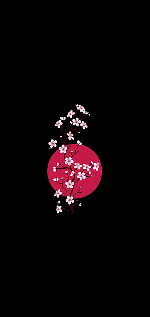 Minimalist Cherry Blossom Branches Against Red Circle on Black Background HD phone wallpaper