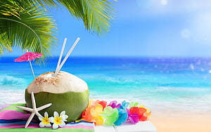 Fresh Coconut Drink with Starfish and Plumeria on a Tropical Beach HD wallpaper