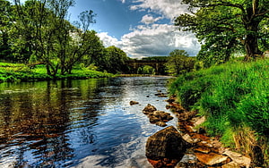 Serene River Landscape With Stone Arch Bridge And Lush Green Banks HD wallpaper