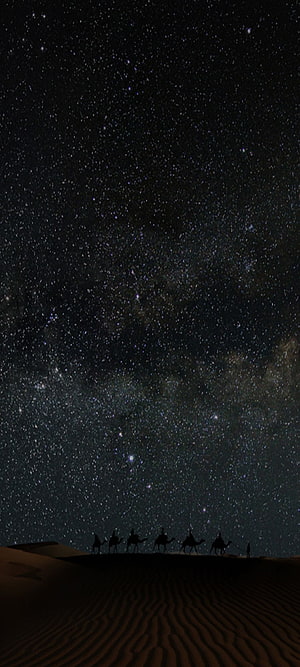 Silhouetted Camel Caravan Crossing Desert Dunes Beneath a Star-Filled Night Sky HD phone wallpaper