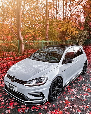 White Volkswagen Golf R GTI in Autumn Forest with Red Leaves HD phone wallpaper