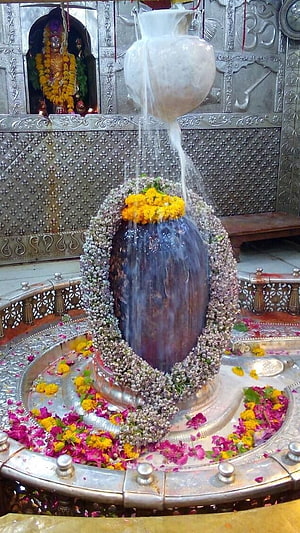 Sacred Shiva Lingam Abhishekam Ritual with Flowing Milk and Marigold Offerings HD phone wallpaper