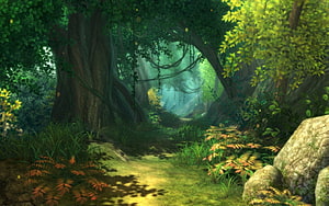 Sunlit Path Through a Lush Enchanted Forest with Ancient Trees and Ferns HD wallpaper
