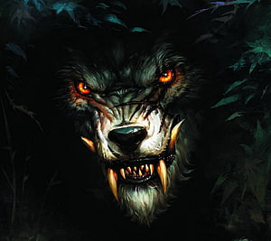 Fierce Wolf Portrait with Glowing Red Eyes and Bared Fangs in Dark Forest HD wallpaper
