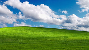 Vibrant Green Rolling Hill Under Blue Sky With Fluffy White Clouds HD wallpaper