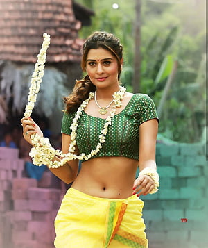 Payal Rajput in Green Blouse and Yellow Saree with Jasmine Garland HD phone wallpaper