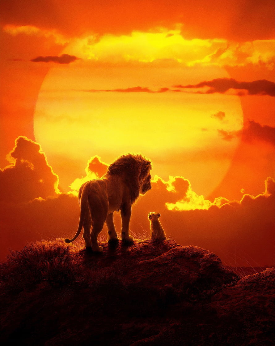 The Lion King Mufasa and Simba Sunset Silhouette on Pride Rock HD phone wallpaper