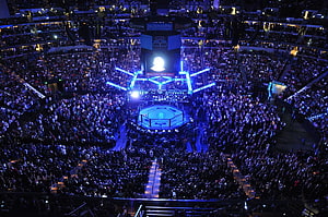 UFC Octagon Arena Event With Massive Crowd And Blue Stage Lighting HD wallpaper