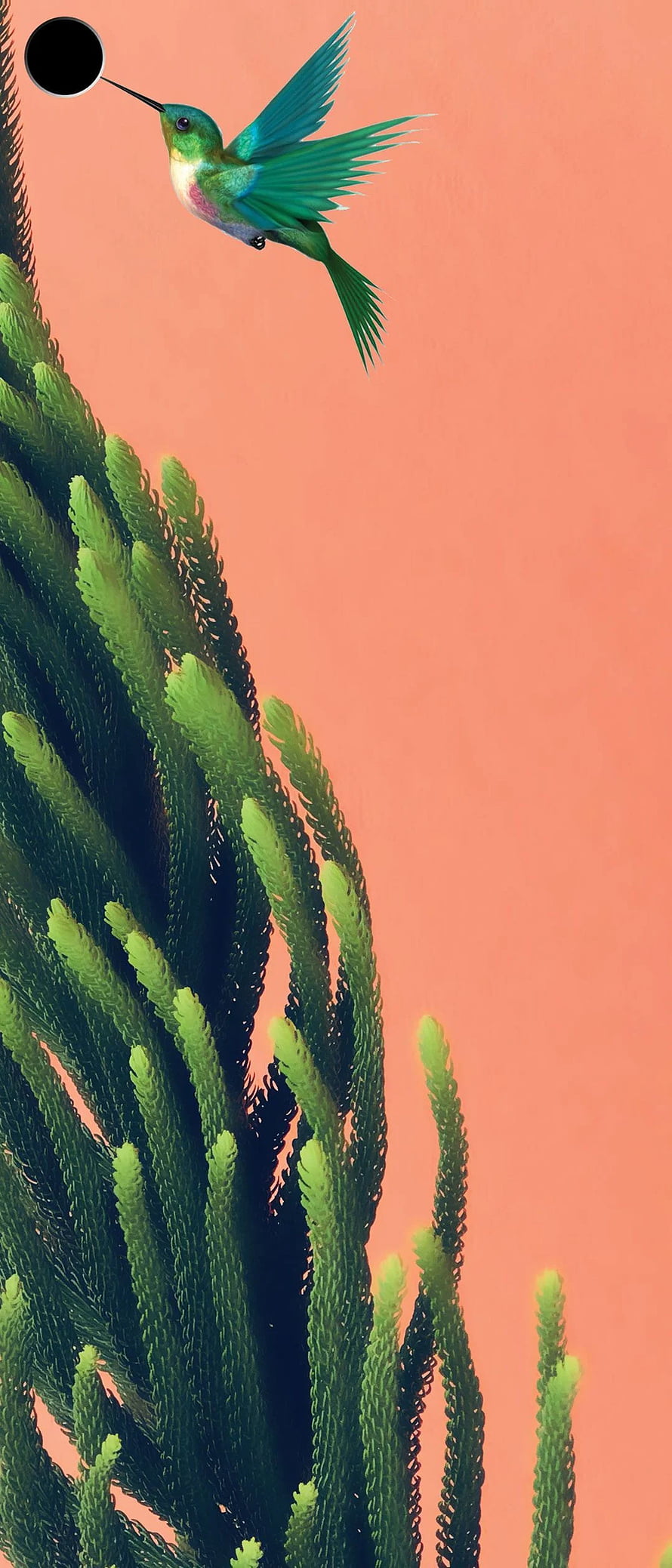 Vibrant Green Hummingbird Hovering Above Textured Cactus Against Coral Background HD phone wallpaper
