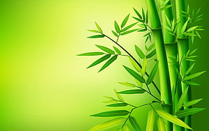 Vibrant Green Bamboo Stalks and Leaves on a Soft Gradient Background HD wallpaper