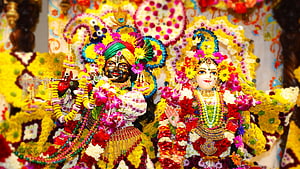 Floral Krishna and Radha Deities Adorned in Vibrant Marigold Garlands and Jewels HD wallpaper
