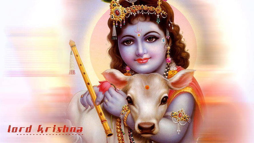 Lord Krishna Embracing a Sacred Cow with Flute and Divine Halo HD wallpaper