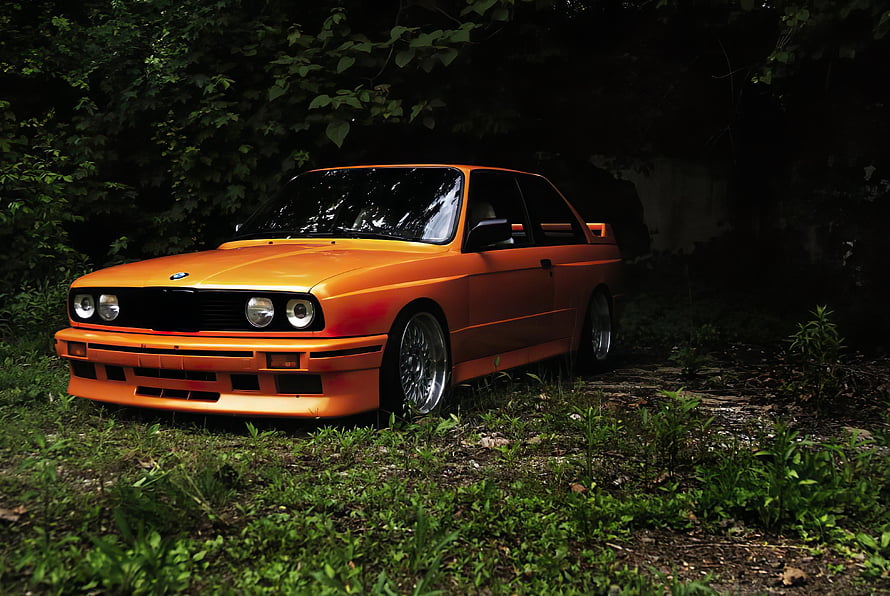 Orange BMW E30 Sedan Parked in a Lush Green Forest Setting HD wallpaper