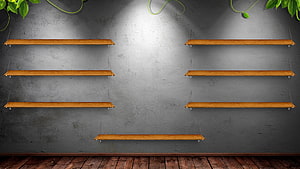 Empty Wooden Shelves on Grey Concrete Wall with Green Vines and Wooden Floor HD wallpaper