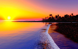 Vibrant Sunset Over Tropical Beach With Silhouetted Palm Trees And Calm Ocean Waves HD wallpaper