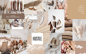 Beige Aesthetic Mood Board with Dried Flowers, Textures, and Minimalist Lifestyle Elements HD wallpaper