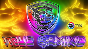MSI Dragon Shield Logo with Neon RGB Glow and True Gaming Text on Fiery Background HD wallpaper