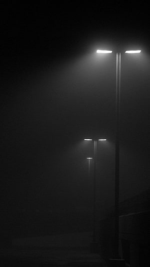 Atmospheric Black and White Street Lamps in Thick Fog HD phone wallpaper