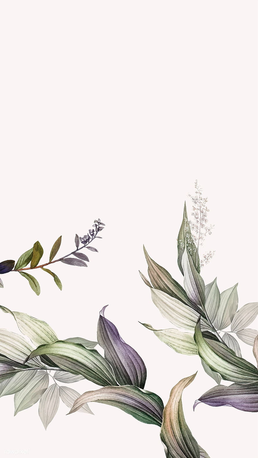 Elegant Watercolor Botanical Illustration with Tropical Leaves and Delicate Flowers on White Background HD phone wallpaper