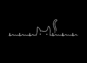 Minimalist Cat Heartbeat Line Art Wallpaper HD wallpaper