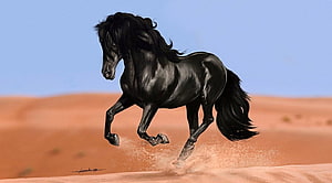 Galloping Black Horse in Desert Landscape Digital Painting HD wallpaper