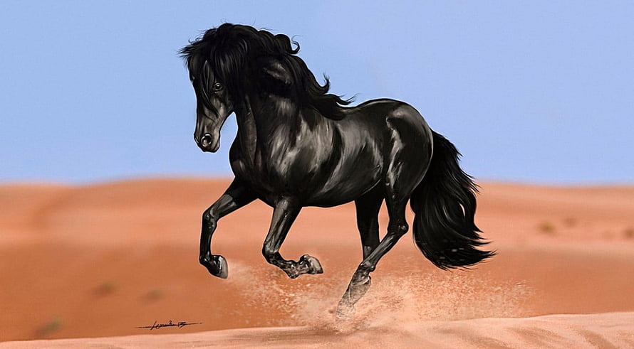 Galloping Black Horse in Desert Landscape Digital Painting HD wallpaper
