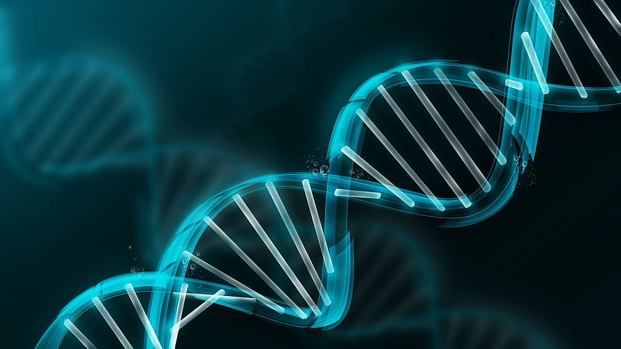 Glowing Cyan DNA Double Helix on Dark Background for Medical and Science Themes HD wallpaper