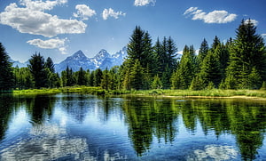 Serene Lake Reflections of Grand Teton Mountains and Pine Forest HD wallpaper