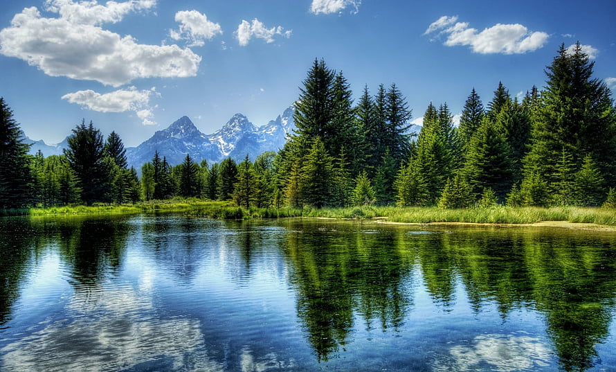 Serene Lake Reflections of Grand Teton Mountains and Pine Forest HD wallpaper