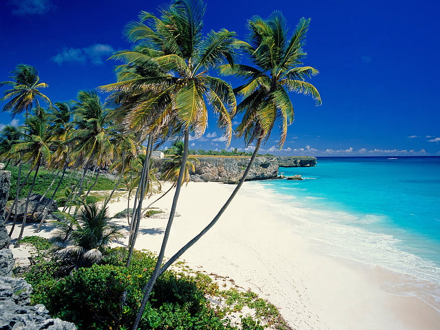 Tropical Paradise Beach With Leaning Coconut Palms And Turquoise Ocean Water HD wallpaper