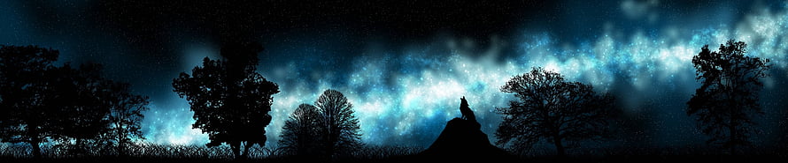 Majestic Night Sky with Milky Way and Silhouetted Trees HD wallpaper