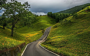 Winding Mountain Road Through Lush Green Hills and Wildflowers HD wallpaper