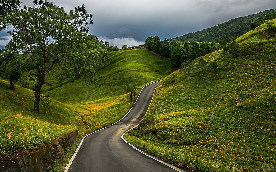 Winding Mountain Road Through Lush Green Hills and Wildflowers HD wallpaper