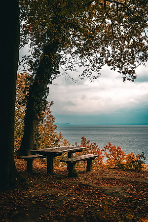 Rustic wooden picnic table on an autumn shoreline overlooking a calm sea under a cloudy sky HD phone wallpaper
