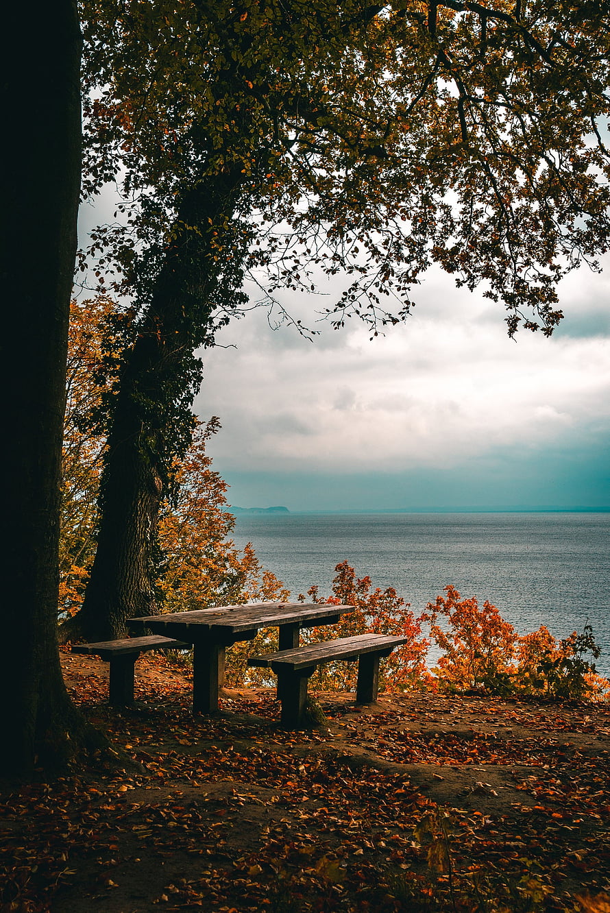 Rustic wooden picnic table on an autumn shoreline overlooking a calm sea under a cloudy sky HD phone wallpaper