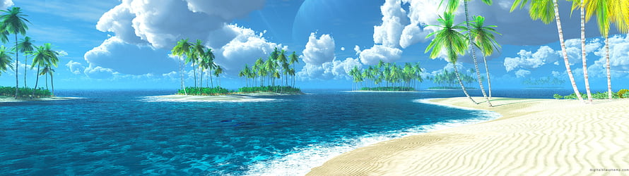 Tropical Paradise Beach with Palm Trees and Blue Ocean HD wallpaper