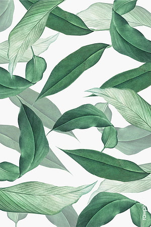 Tropical Green Leaves Pattern Wallpaper HD phone wallpaper