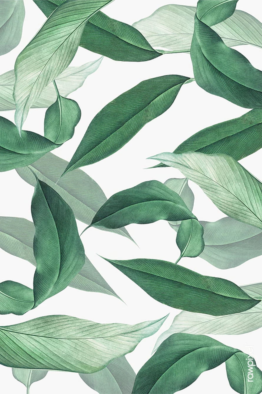 Tropical Green Leaves Pattern Wallpaper HD phone wallpaper