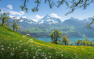 Swiss Alpine Spring Landscape Featuring Snow-Capped Peaks and a Turquoise Lake HD wallpaper