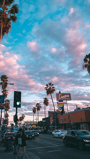 Sunset Street Scene in Los Angeles with Palm Trees and City Traffic HD phone wallpaper